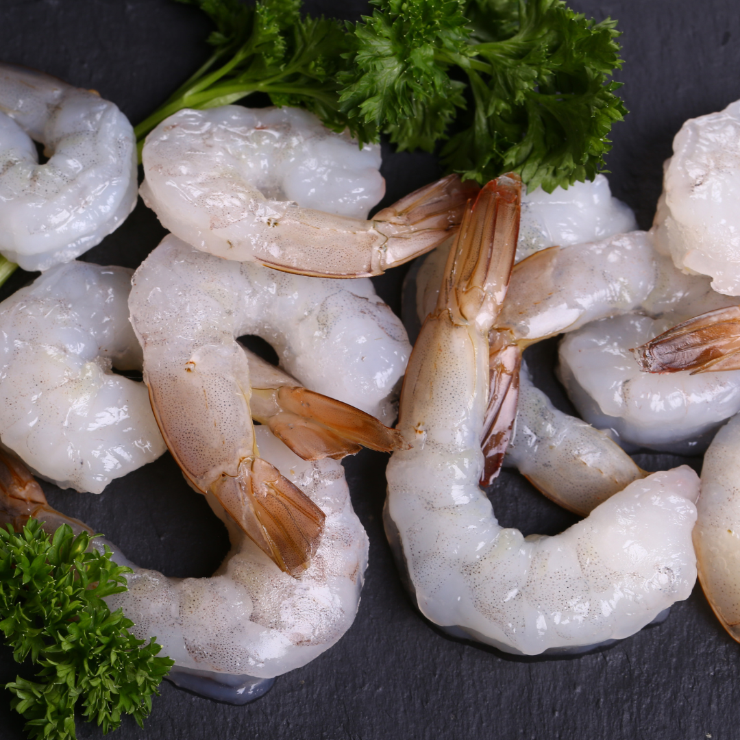 Shrimp - MTG