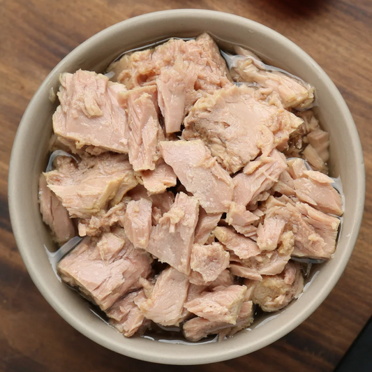 Canned Tuna - MTG