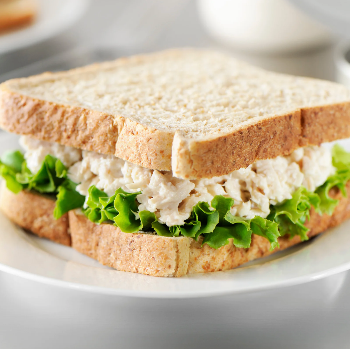 Canned Tuna - MTG