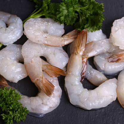 Shrimp - MTG